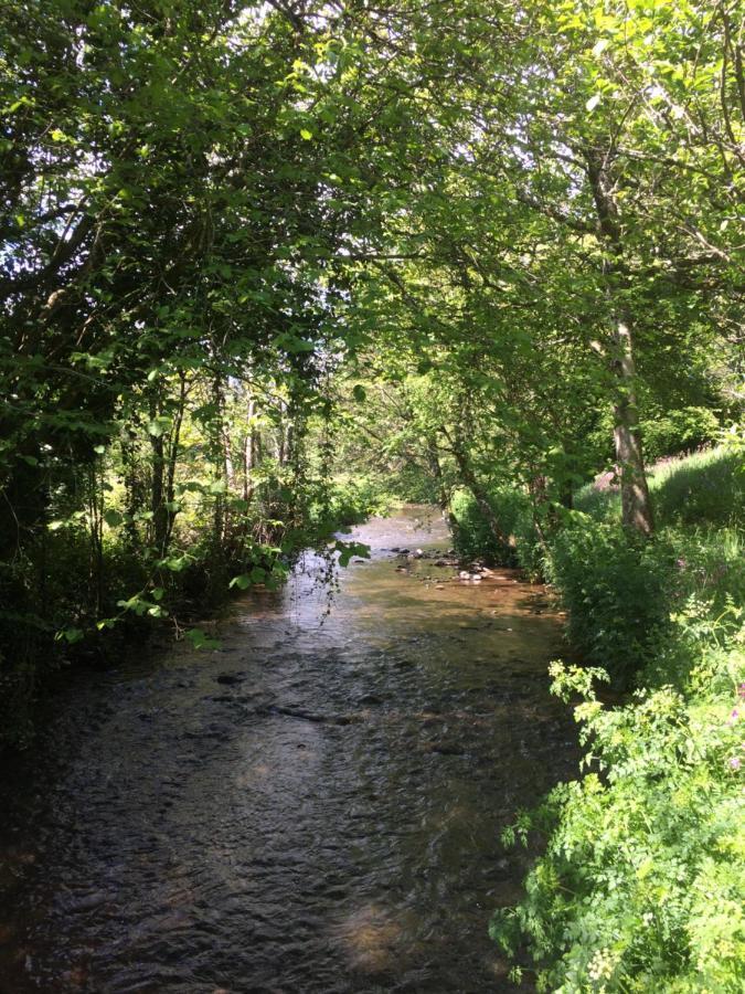 托特尼斯Bow Mill Farm住宿加早餐旅馆 外观 照片